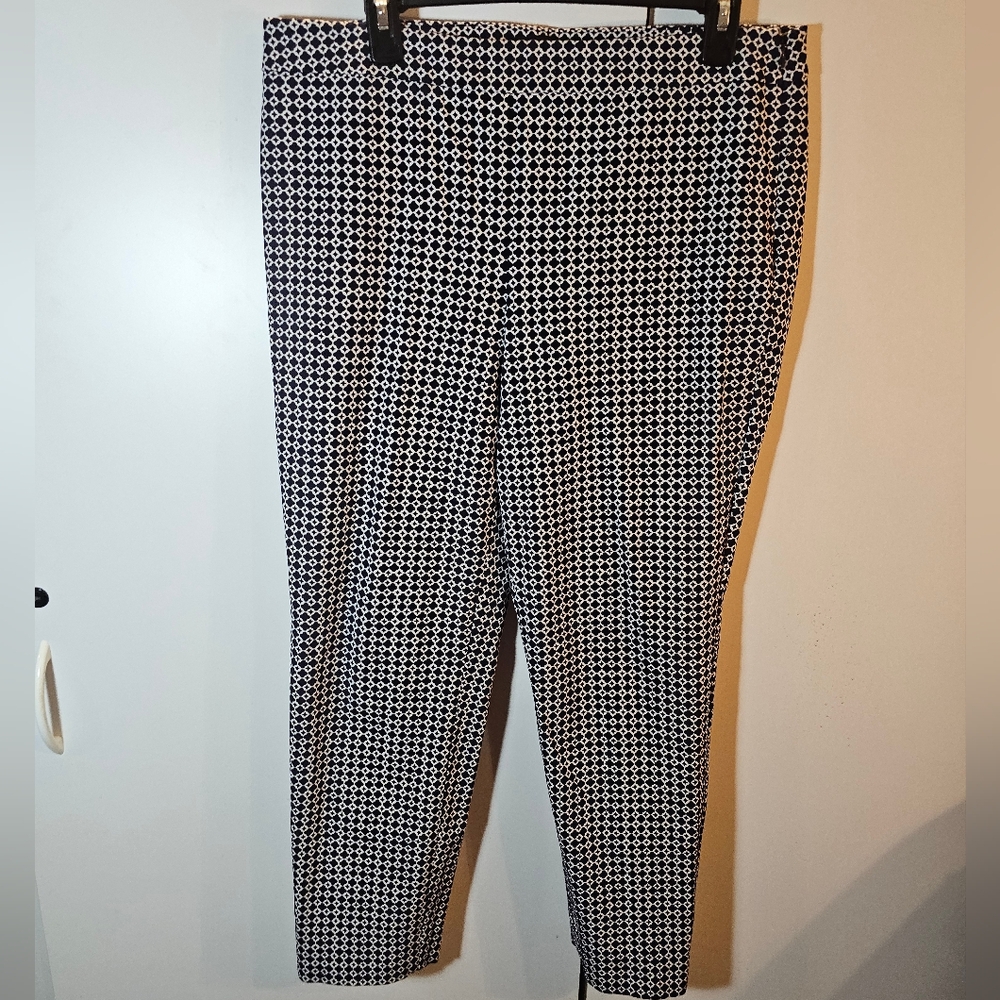 Talbots Blue and White Ankle Cropped Pants